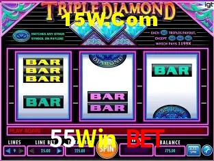 Sistemas de Segurança 55Win Bet